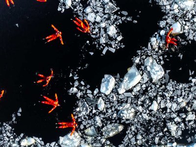Polar Explorer Icebreaker Cruise Experience