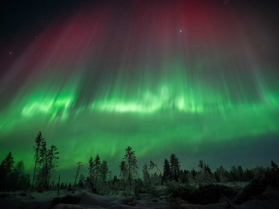 Rovaniemi:%100 Money Back Guarantee Northern Lights Hunting by Bus