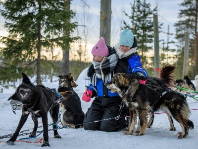 Rovaniemi: Santa Claus Village, Husky & Reindeer Tour